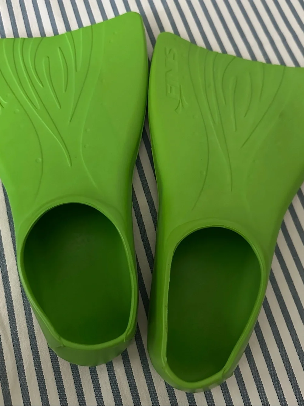 Finis lets bright